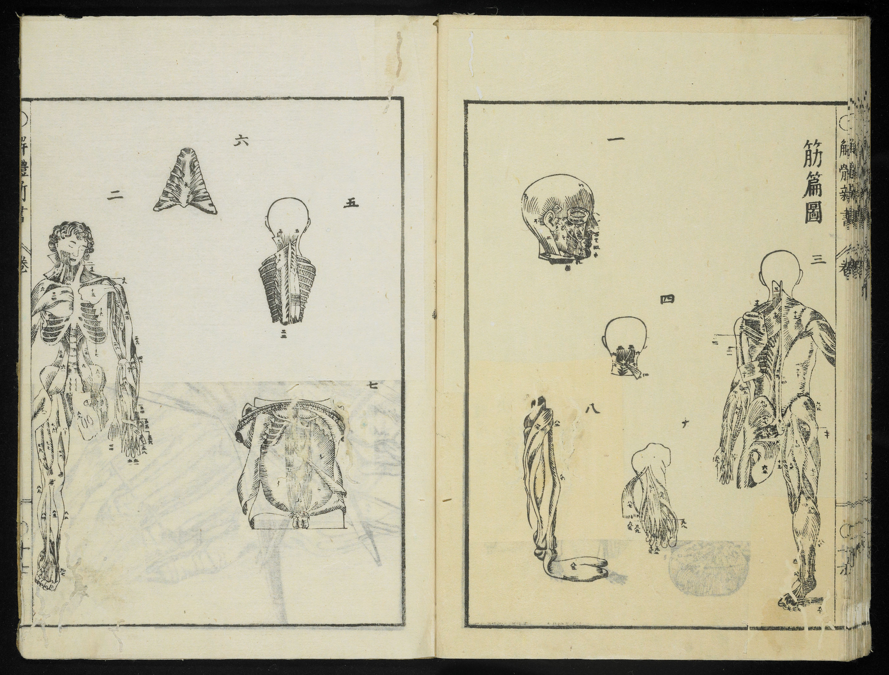 解体新書 序図 （33/39）