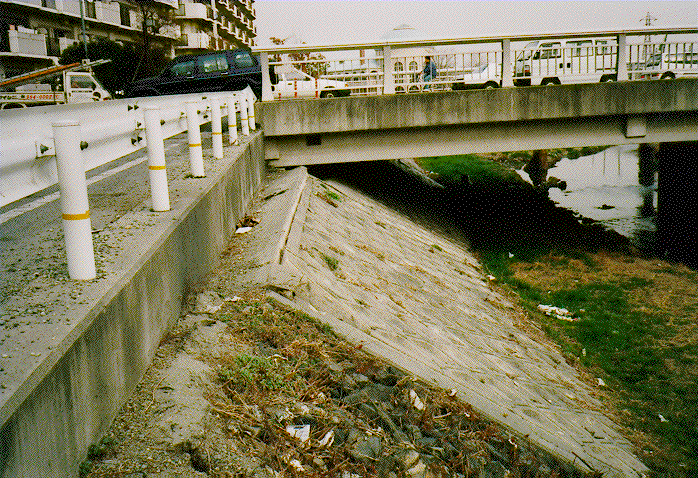 Photo Data Of Hanshin Great Earthquake